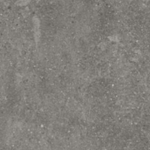 CS Keramisch Tegel Lithops 50x100x2cm Grey A. van Elk BV